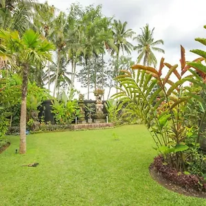 https://villa-aashaya-ubud.ubudhotelsnow.com